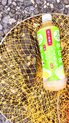 可愛い〜カレイ