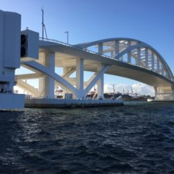 夢舞大橋下、寒すぎて