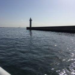 早朝ショアジギング