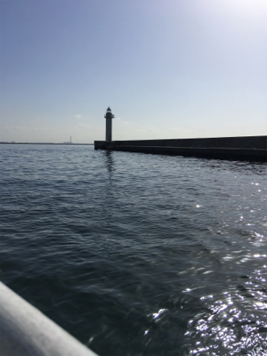 早朝ショアジギング