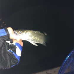 居ることはいるんですよ