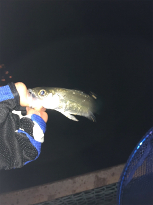 居ることはいるんですよ