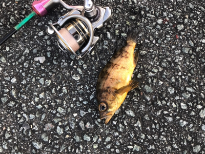 ありがとうございました！