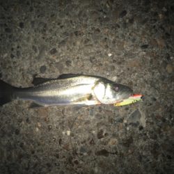 ワンバラシからのチーバス