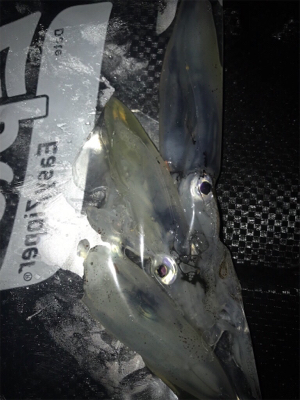 劇渋ヒイカ釣り(＞＜)