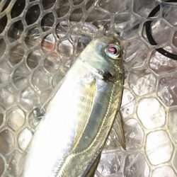 少しいいサイズ