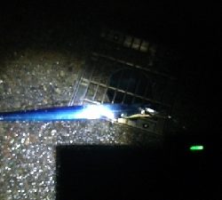 地合いがない一日でした