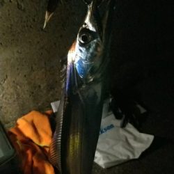 時合い後の釣行