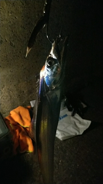 時合い後の釣行