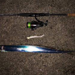 明石ワインド15