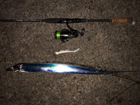 明石ワインド15