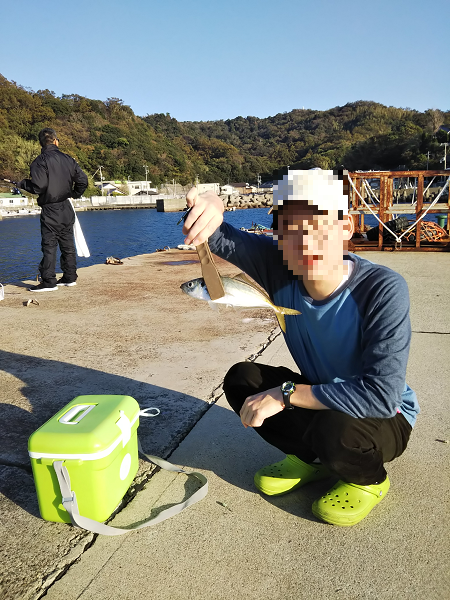 ULSJサビキで良型アジ