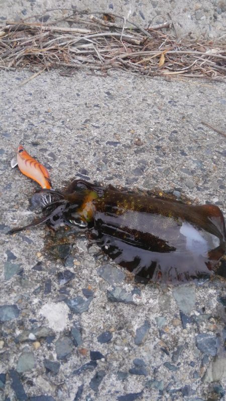 雨を覚悟してましたが、小雨で良かった❗