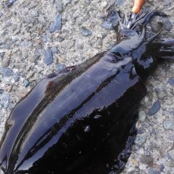 30分早く起きたご褒美‼