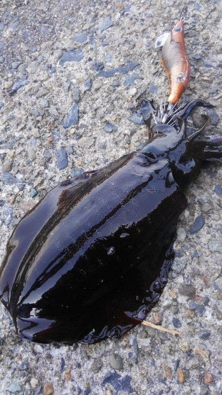 30分早く起きたご褒美‼