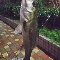 短時間でGET　～辰巳一付近～