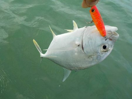 ポッパーゲーム