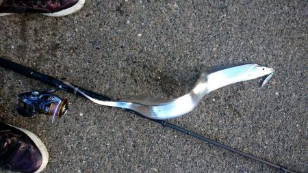 今日はいい日だった