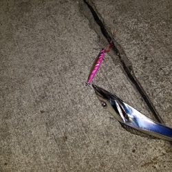 水軒も厳しくなってきました