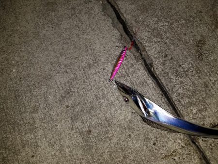 水軒も厳しくなってきました