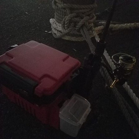 アジング楽しい‼