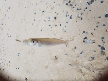 日の出と、共に