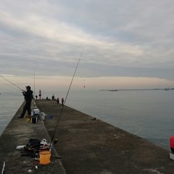 岸和田一文字朝タチ～