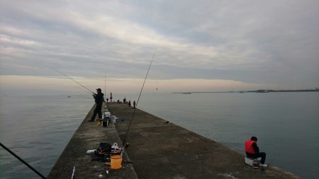 岸和田一文字朝タチ～