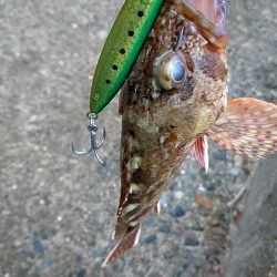 全くダメな日曜日だった