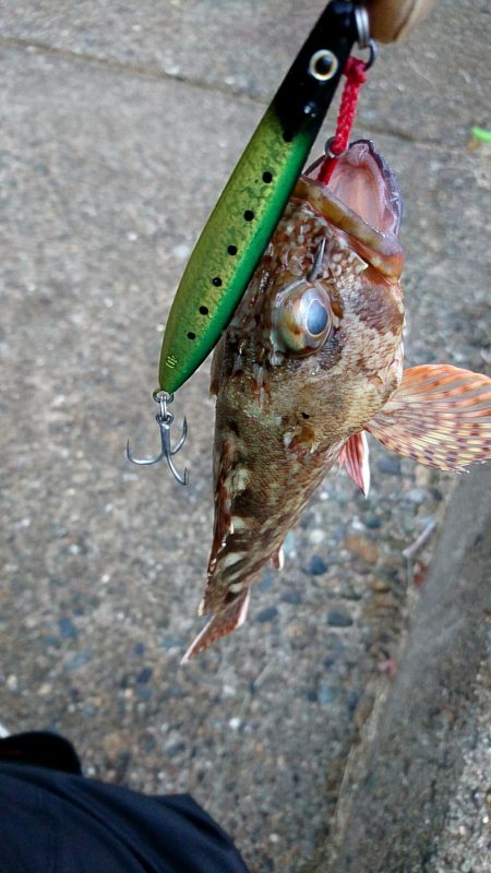 全くダメな日曜日だった