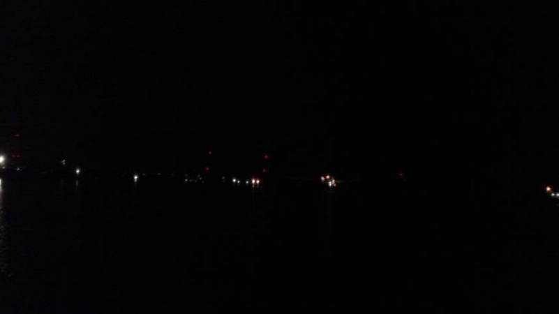 サバ折１５匹　泳がせ用のアジ５匹