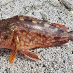 久しぶりの遠征