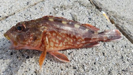 久しぶりの遠征