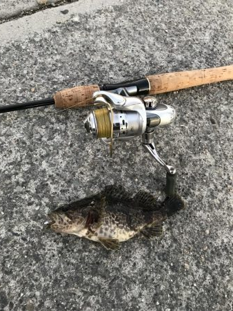 メバリング爆撃