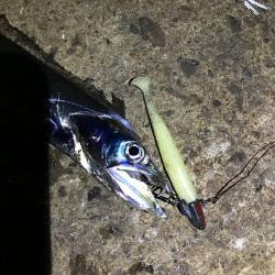 休日の激戦区へ