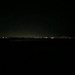 執念のタチウオ!