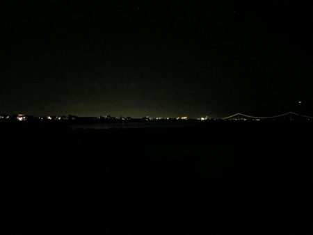 執念のタチウオ!