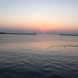 タッチー、タッコー、チーバッスー