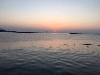 タッチー、タッコー、チーバッスー