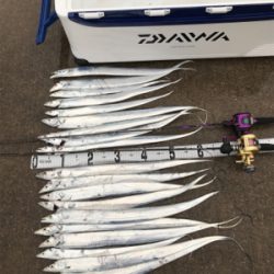 タチウオジギング