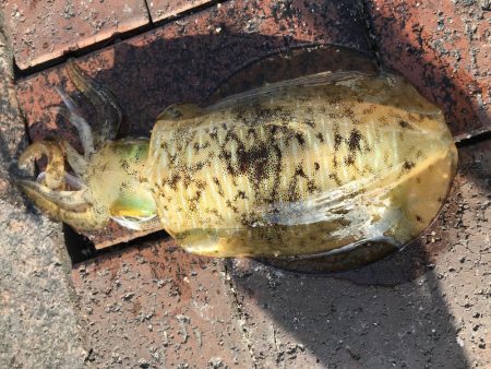 仕事終わりに！