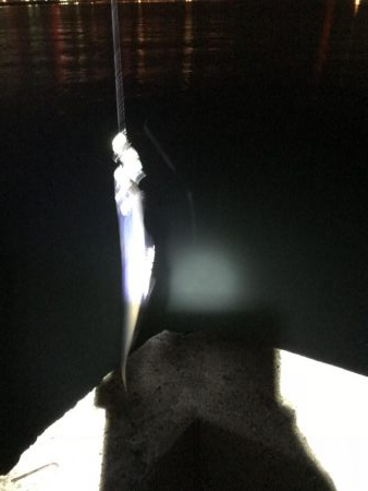 タチウオやーい？どこやー？