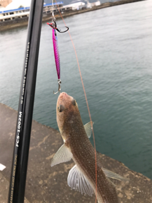 小雨の中、諦めずに頑張った…。