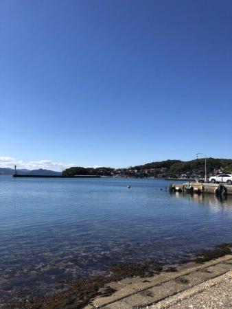 エギング、アジング釣行！