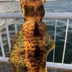 夕方仕事帰りに！