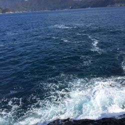 渡船でショアジギング