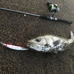 日没直後波打際直撃