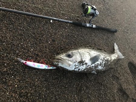 日没直後波打際直撃