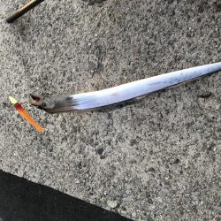 シーズン終盤突入