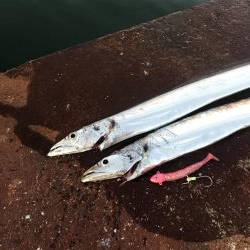 タチウオルアー釣り